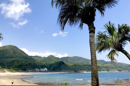 サマーフェスタ中止!! (T＿T）